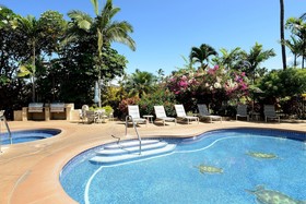 Grand Champions by VTrips