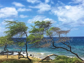 Kamaole Sands Resort