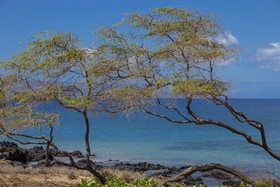 Kamaole Sands Resort