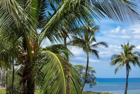 Kauhale Makai