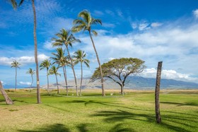 Kauhale Makai