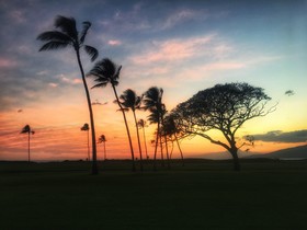 Kihei Garden Estates - Building G