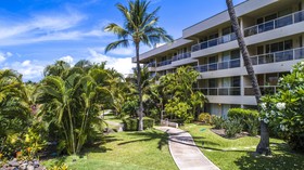 Maui Banyan Basic by AEI