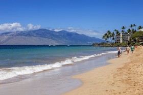 Maui Banyan Basic by AEI