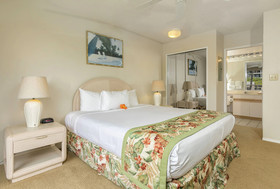 Maui Banyan Basic by AEI