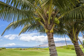 Waiohuli Beach Hale - Building C