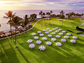 Fairmont Orchid