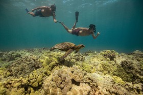 Fairmont Orchid Gold Experience