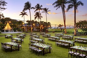Fairmont Orchid