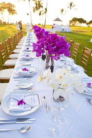 Fairmont Orchid
