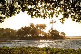 Fairmont Orchid