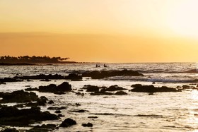 Fairmont Orchid