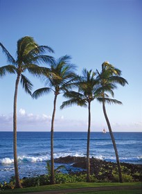 Sheraton Kauai Resort
