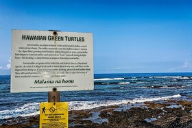 Kona Surf & Racquet Club