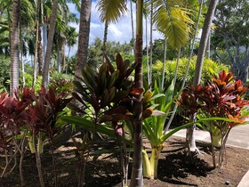 Kona Surf & Racquet Club