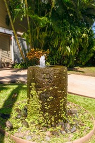 Aina Nalu - Building B