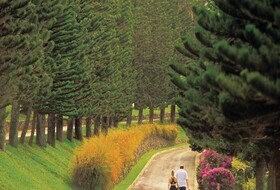 Kapalua Villas by Outrigger