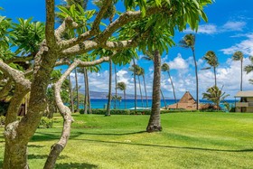 Napili Shores by RedAwning