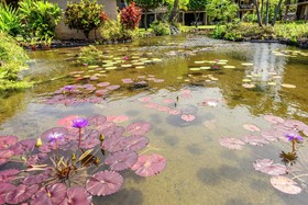 Papakea Ocean Front Resort