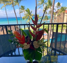 Papakea Ocean Front Resort