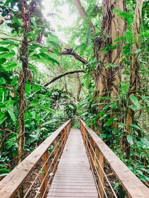 OUTRIGGER Kaua'i Beach Resort & Spa