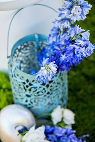 Sheraton Maui Resort & Spa