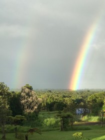 Volcano Park Rentals