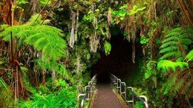 Volcano Park Rentals