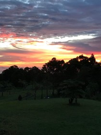 Volcano Park Rentals