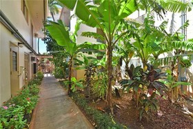 Makani Sands by RedAwning