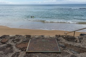 The Pikake by RedAwning