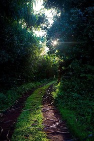 Kirpal Meditation and Ecological Center