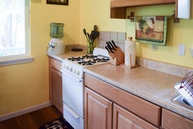 Kahu Io Guardian Hawk