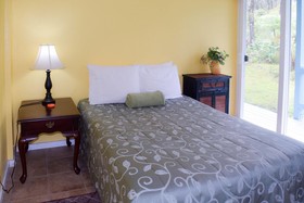 Kahu Io Guardian Hawk