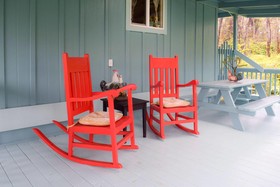 Kahu Io Guardian Hawk