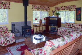 Kahu Io Guardian Hawk