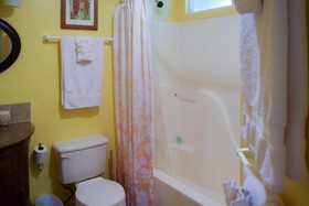 Kahu Io Guardian Hawk