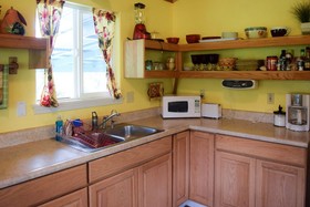 Kahu Io Guardian Hawk