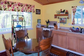 Kahu Io Guardian Hawk