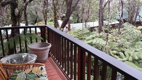 The Guest Cottages at Volcano Acres Tree House
