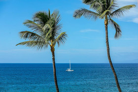 Polo Beach Club by Coldwell Banker Island Vacations