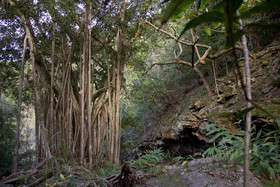 The Northshore Hostel Maui