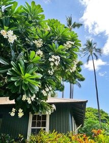 Waimea Plantation Cottages Kauai