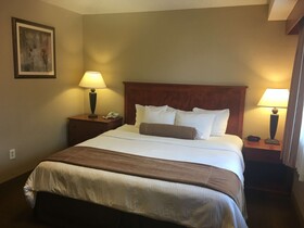 Best Western Vista Inn at The Airport