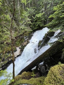North Haven Campground