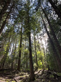North Haven Campground
