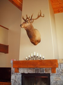 Tamarack Resort