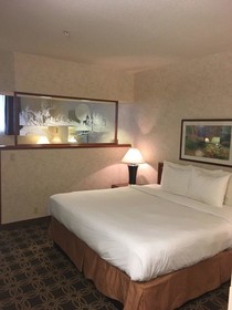 Holiday Inn Twin Falls