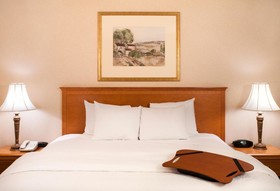 Hampton Inn & Suites Addison