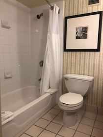 Hilton Garden Inn Addison